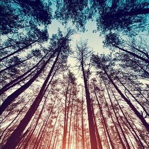 Meet your Posher, Abigaelle